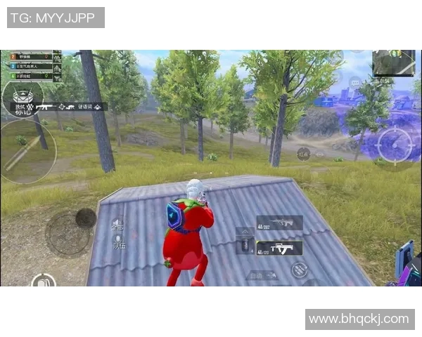 从零开始打造无敌团队和平精英协作技巧全解析