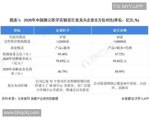 广州篮球队战术表现数据分析揭示球队优势与不足的深度研究 广州篮球队战术表现数据分析揭示球队优势与不足的深度研究