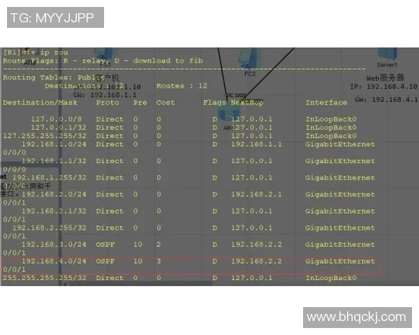 成都极限运动队的进攻策略与热点分析探秘