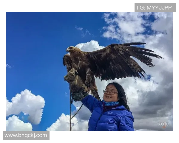 张丽的排球人生:从梦想起航到赛场辉煌的深度对话