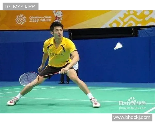 西安羽毛球队战术深度剖析与对手战术的全面对比分析