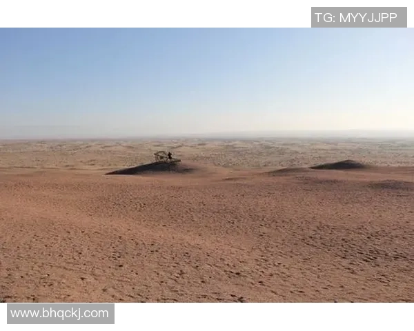 马力克的传奇旅程与奋斗精神启示我们追求梦想的勇气与坚持 马力克的传奇旅程与奋斗精神启示我们追求梦想的勇气与坚持