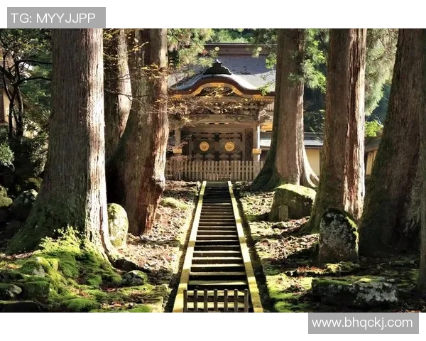 乌栖沙岩与大阪的文化碰撞与历史交融探讨 乌栖沙岩与大阪的文化碰撞与历史交融探讨