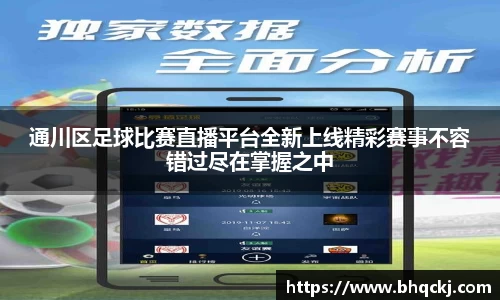 金年会