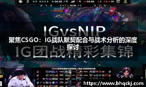 金年会