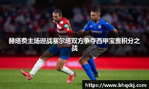 今年会平台入口